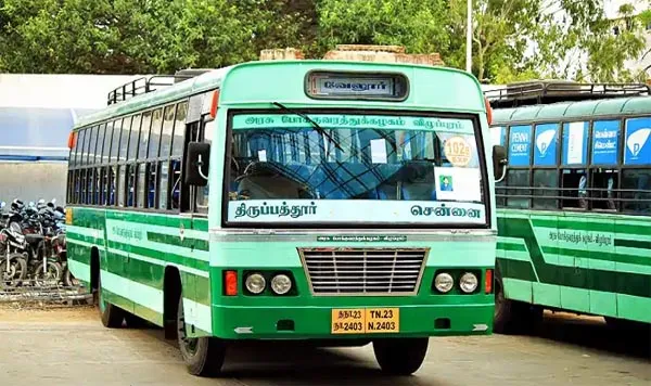 bus